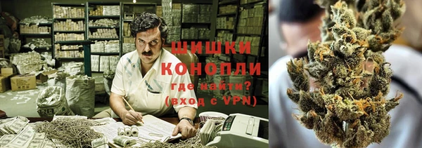 молекула духа Сосновоборск